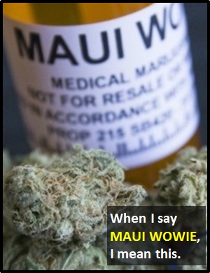 meaning of MAUI WOWIE