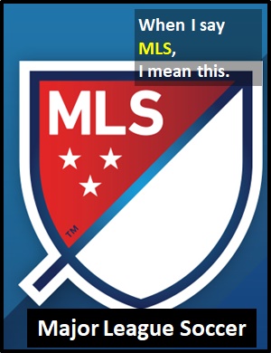 meaning of MLS