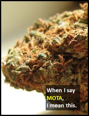meaning of MOTA