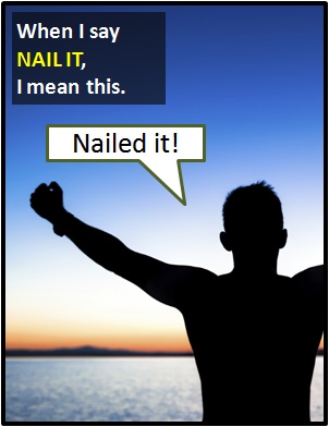 meaning of NAIL IT