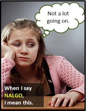 meaning of NALGO