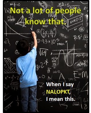 meaning of NALOPKT