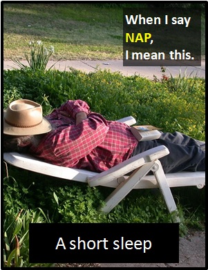 meaning of NAP