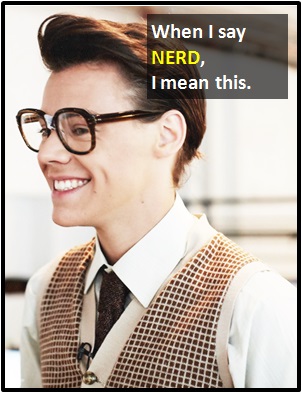 meaning of NERD
