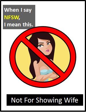 meaning of NFSW