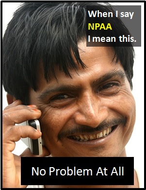 meaning of NPAA