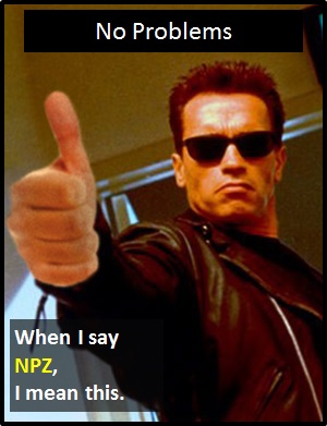 meaning of NPZ