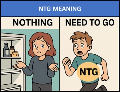 meaning of NTG