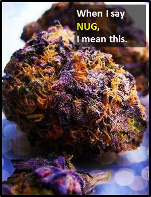 meaning of NUG