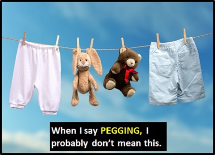 meaning of PEGGING