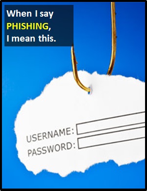 meaning of PHISHING