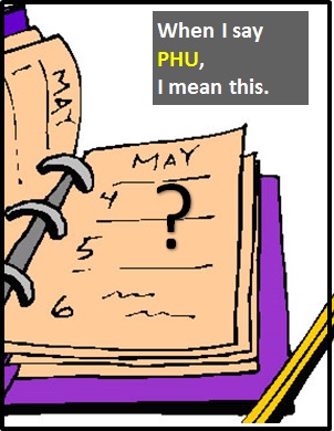 meaning of PHU