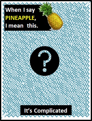 meaning of PINEAPPLE