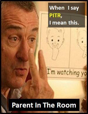 meaning of PITR