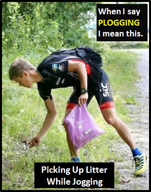 meaning of PLOGGING