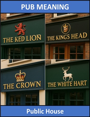 meaning of Pub