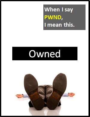 meaning of PWND