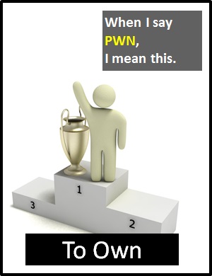 meaning of Pwn