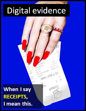 meaning of RECEIPTS