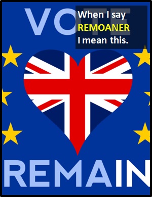 meaning of REMOANER