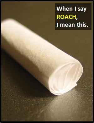 meaning of ROACH