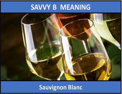 meaning of Savvy B