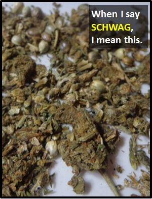 meaning of SCHWAG