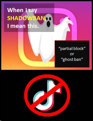 meaning of SHADOWBAN