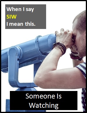 meaning of SIW