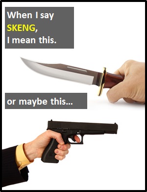 meaning of SKENG
