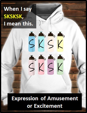 meaning of sksksk