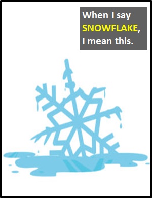 meaning of Snowflake