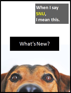 meaning of SNU