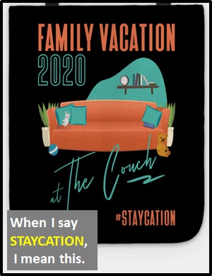 meaning of STAYCATION