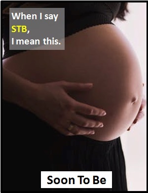meaning of STB