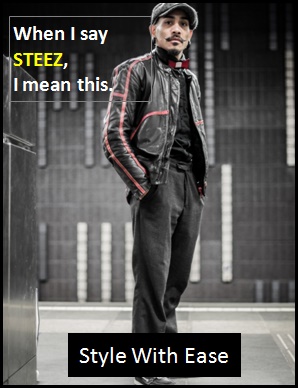 meaning of STEEZ