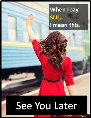 meaning of SUL