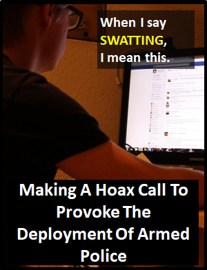meaning of SWATTING