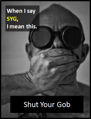 meaning of SYG
