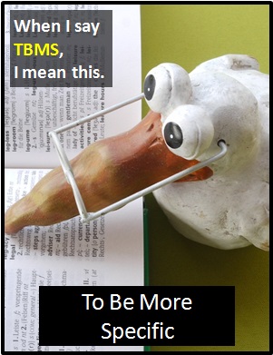 meaning of TBMS