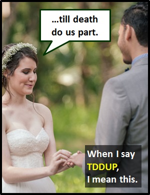meaning of TDDUP