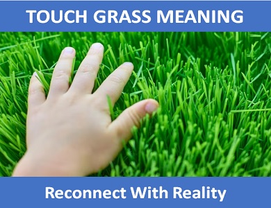 meaning of Touch Grass