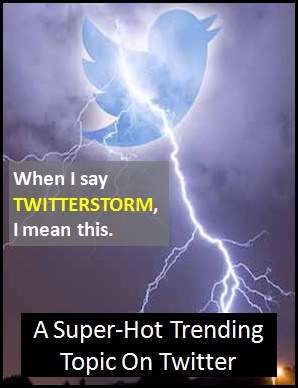 meaning of TWITTER STORM