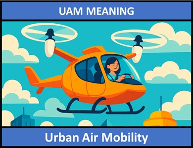 meaning of UAM