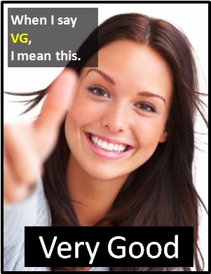 meaning of VG