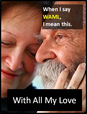 meaning of WAML