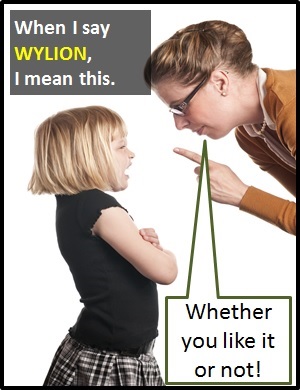 meaning of WYLION
