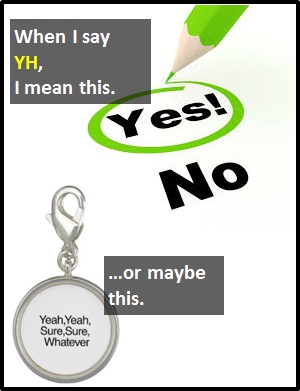 meaning of YH