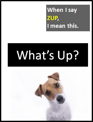 meaning of ZUP