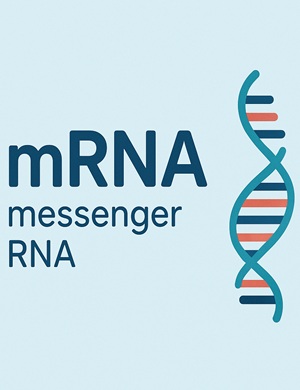 meaning of mRNA